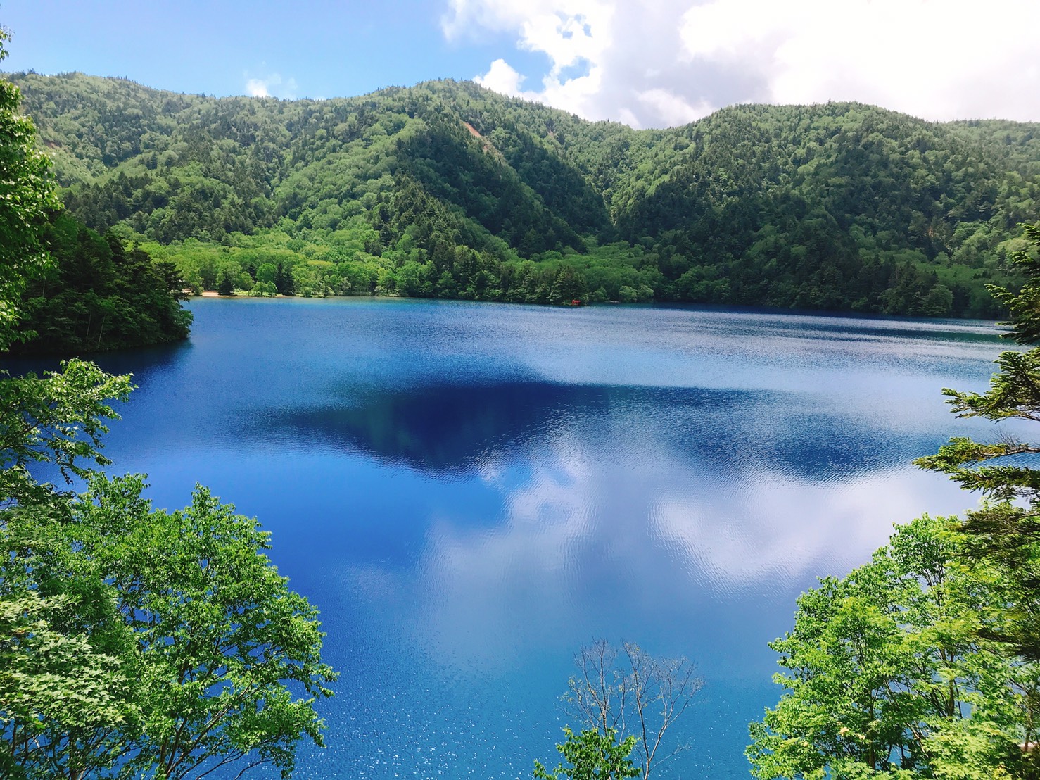 大沼池