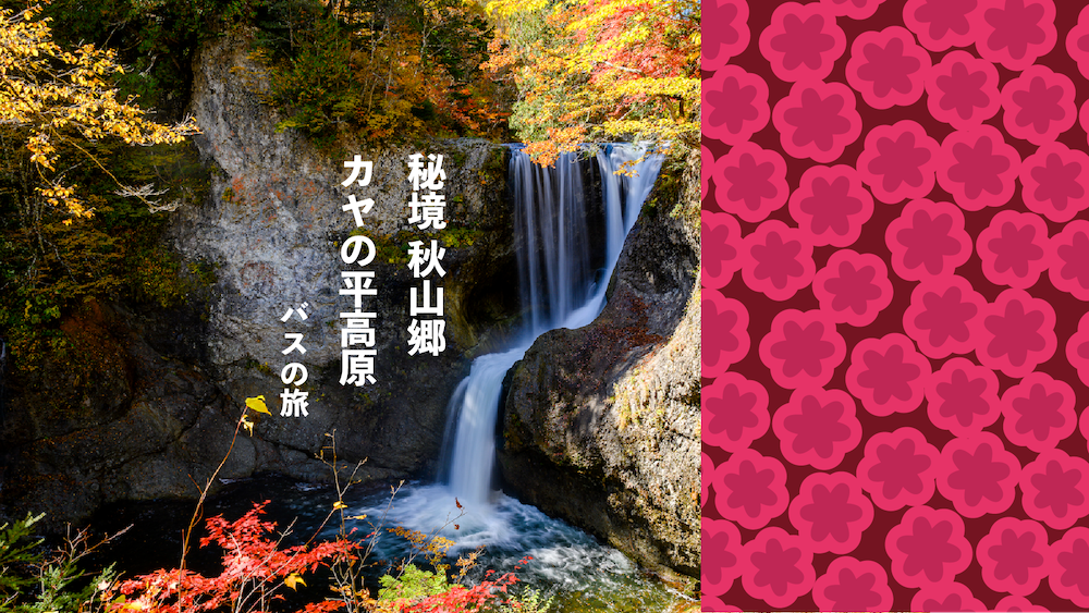 秘境バス秋R7.png