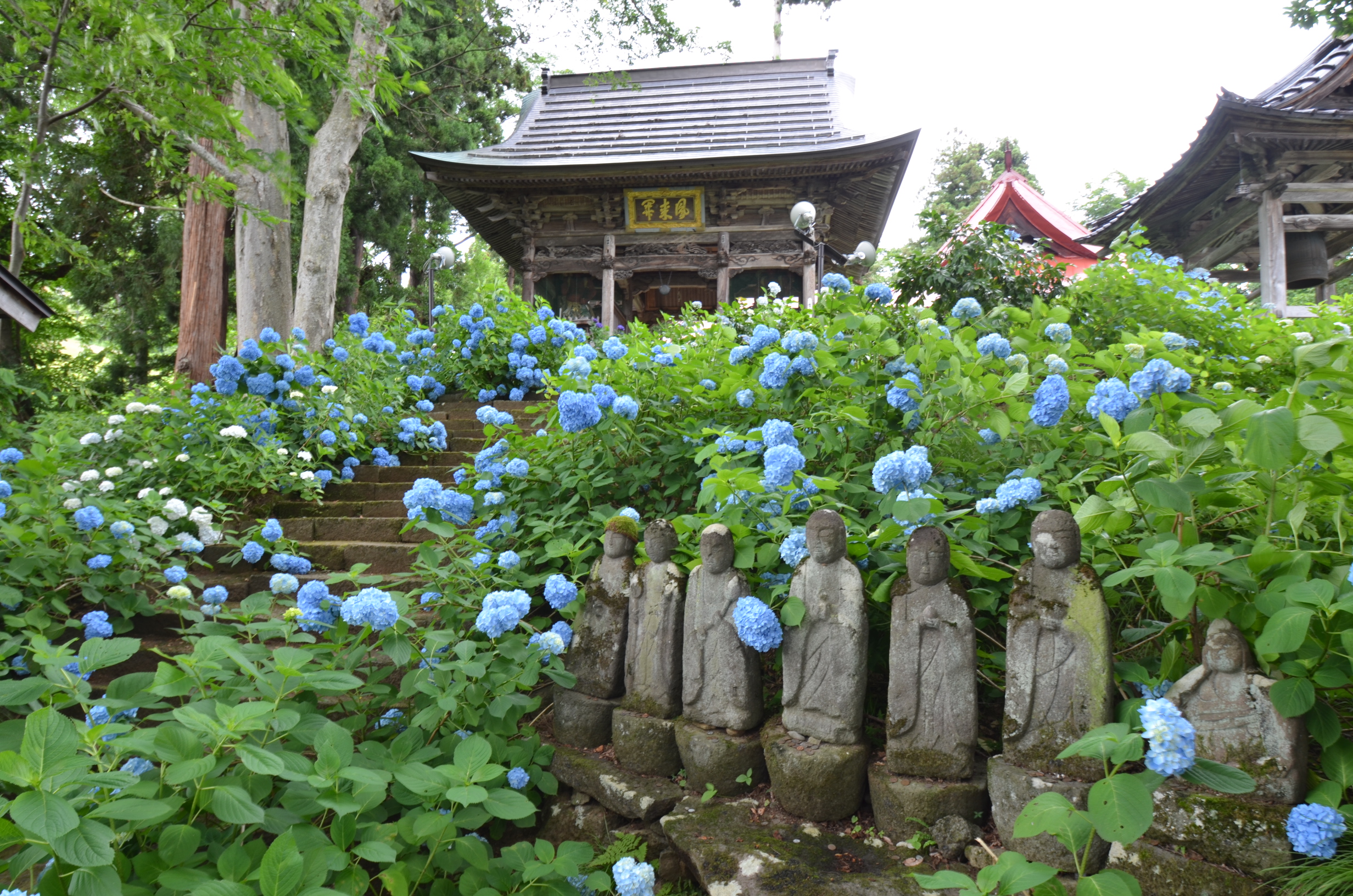 高源寺