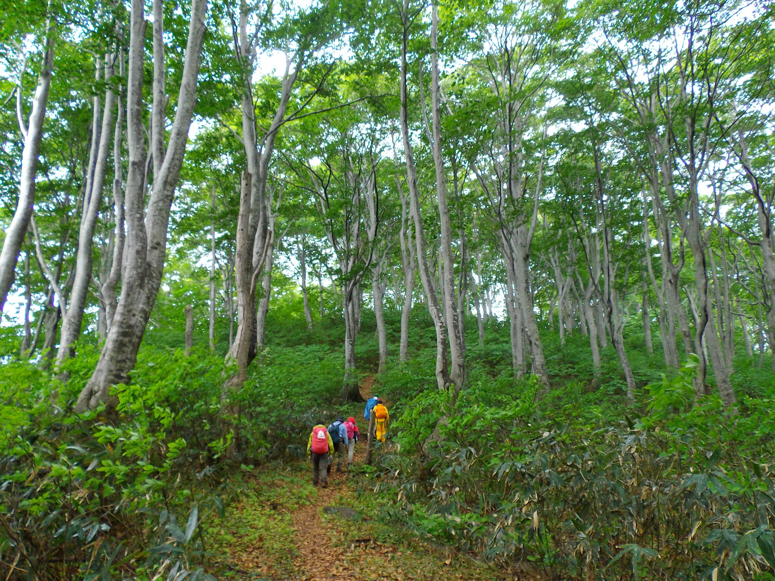 天水山付近