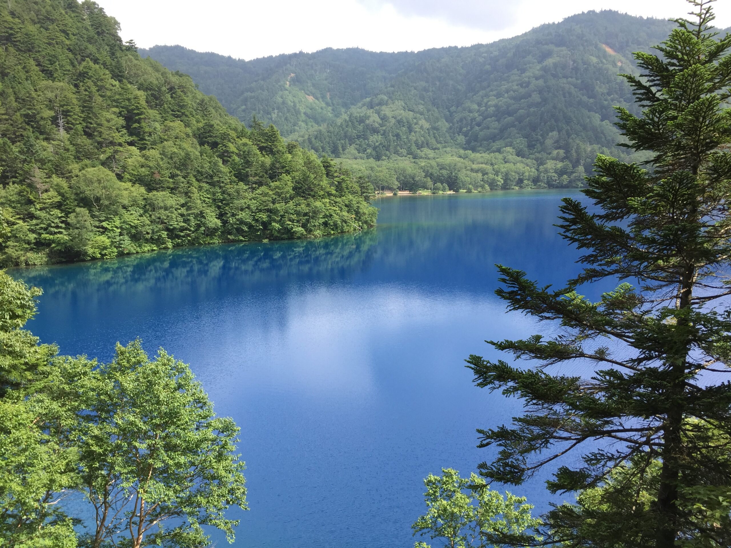 大沼池