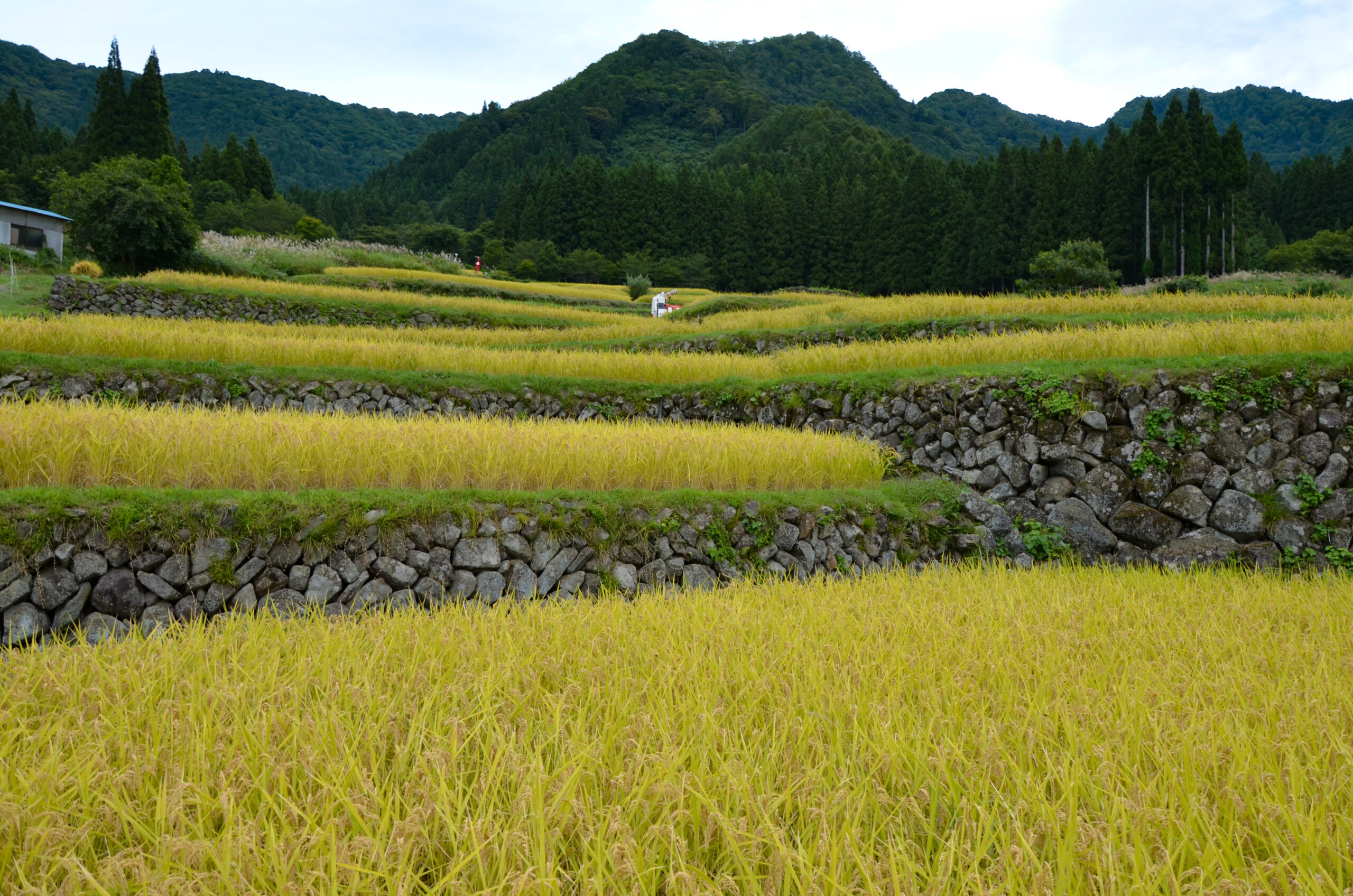 福島棚田